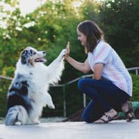 Sitter Profile Image: Jamie P.