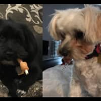 Sitter Profile Image: Kristi H.