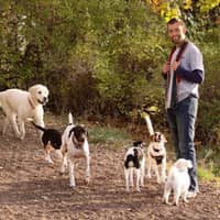 Sitter Profile Image: Victor N.