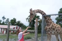 Sitter Profile Image: Alyssa M.