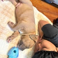 Sitter Profile Image: Christine & Michael B.