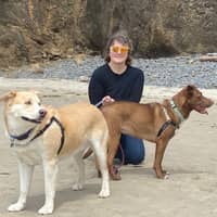 Sitter Profile Image: Cynthia L.