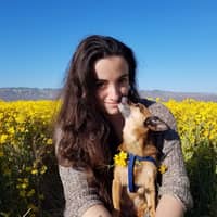 Sitter Profile Image: Alexis A.