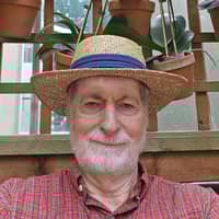Sitter Profile Image: David J.