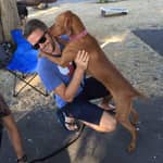 Sitter Profile Image: Patrick M.