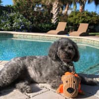 Sitter Profile Image: Cindy W.