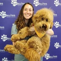 Sitter Profile Image: Ashley T.