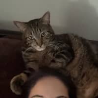 Photo de profil du pet sitter : Zohra M.