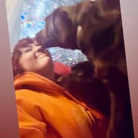 Sitter Profile Image: Trista S.