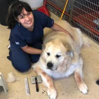 Sitter Profile Image: Mackenzie M.