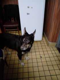 Image 0