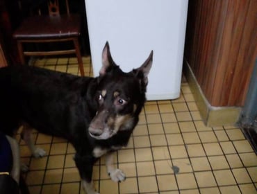 Image 0