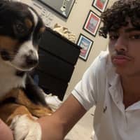 Sitter Profile Image: Abderrahim F.