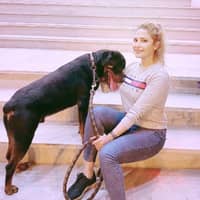 Sitter Profile Image: Baran M.