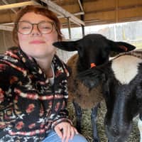 Sitter Profile Image: Rose H.