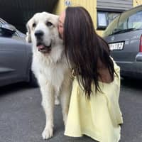 Profilbilde av hundepasser: Xenia B.