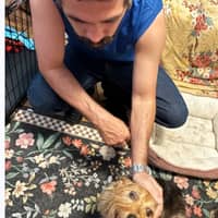 Sitter Profile Image: Robert P.