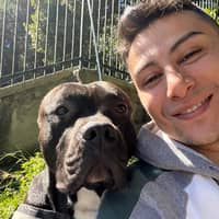 Immagine del profilo del sitter: Cesar Y.