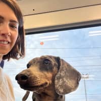 Immagine del profilo del sitter: Giada V.