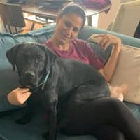 Sitter Profile Image: Vamshi M.