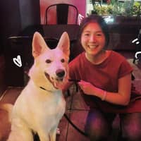 Sitter Profile Image: Liwei Y.