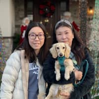 Sitter Profile Image: Pui Man Stephanie H.