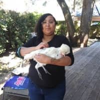 Sitter Profile Image: Christian F.