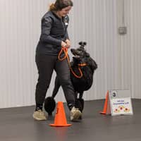 Sitter Profile Image: Zoe S.