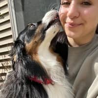 Sitter Profile Image: Abby L.