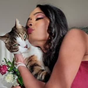 Cat boarding deals staten island