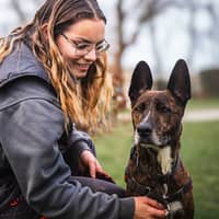 Photo de profil du pet sitter : Tifenn B.