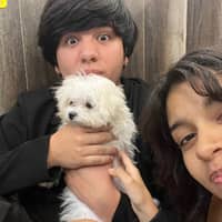 Sitter Profile Image: Edison V.