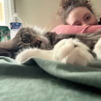 Sitter Profile Image: Marleyna H.