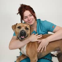 Sitter Profile Image: Abby H.