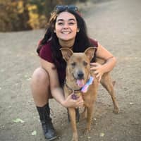 Sitter Profile Image: Gabriela B.