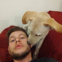 Immagine del profilo del sitter: Shoval A.