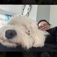 Sitter Profile Image: Megan M.