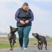 Sitter Profile Image: Elizabeth C.