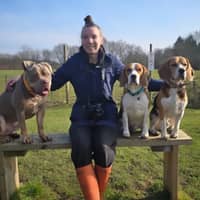 Sitter Profile Image: Suzanne E.