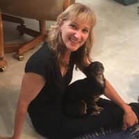 Sitter Profile Image: Patricia J.