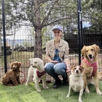 Sitter Profile Image: Claire A.