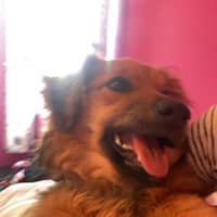 Sitter Profile Image: Dakota B.