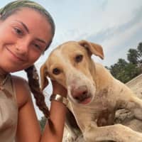 Sitter Profile Image: Loveday Q.