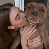 Sitter Profile Image: Tara S.