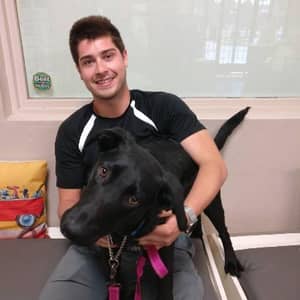 Sitter Profile Image: Steven M.