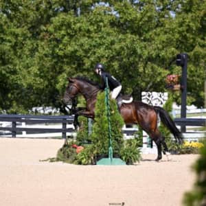 Sitter Profile Image: Bailey H.