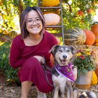 Sitter Profile Image: Anh M.
