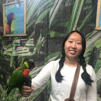 Sitter Profile Image: Megan M.