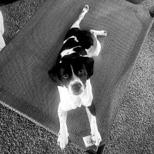 Sitter Profile Image: Raquel S.