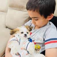 Sitter Profile Image: supriya s.